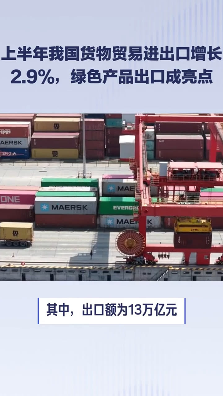 上半年我国货物贸易进出口增长2.9%，彰显经济韧性